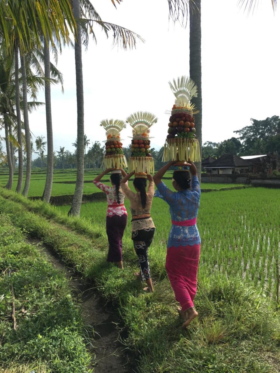 Villa Alam Surya Ubud Esterno foto
